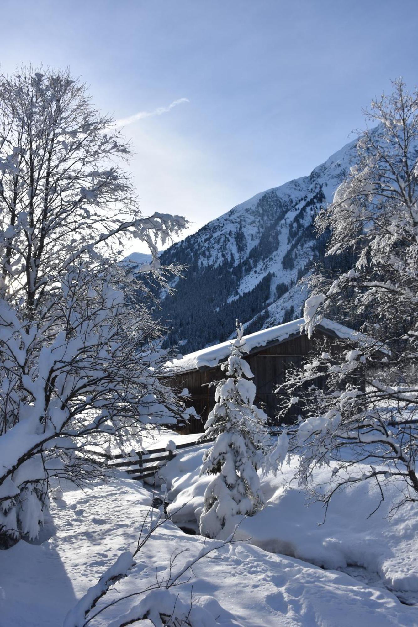 Appartamento Haus Marco Neustift im Stubaital Esterno foto
