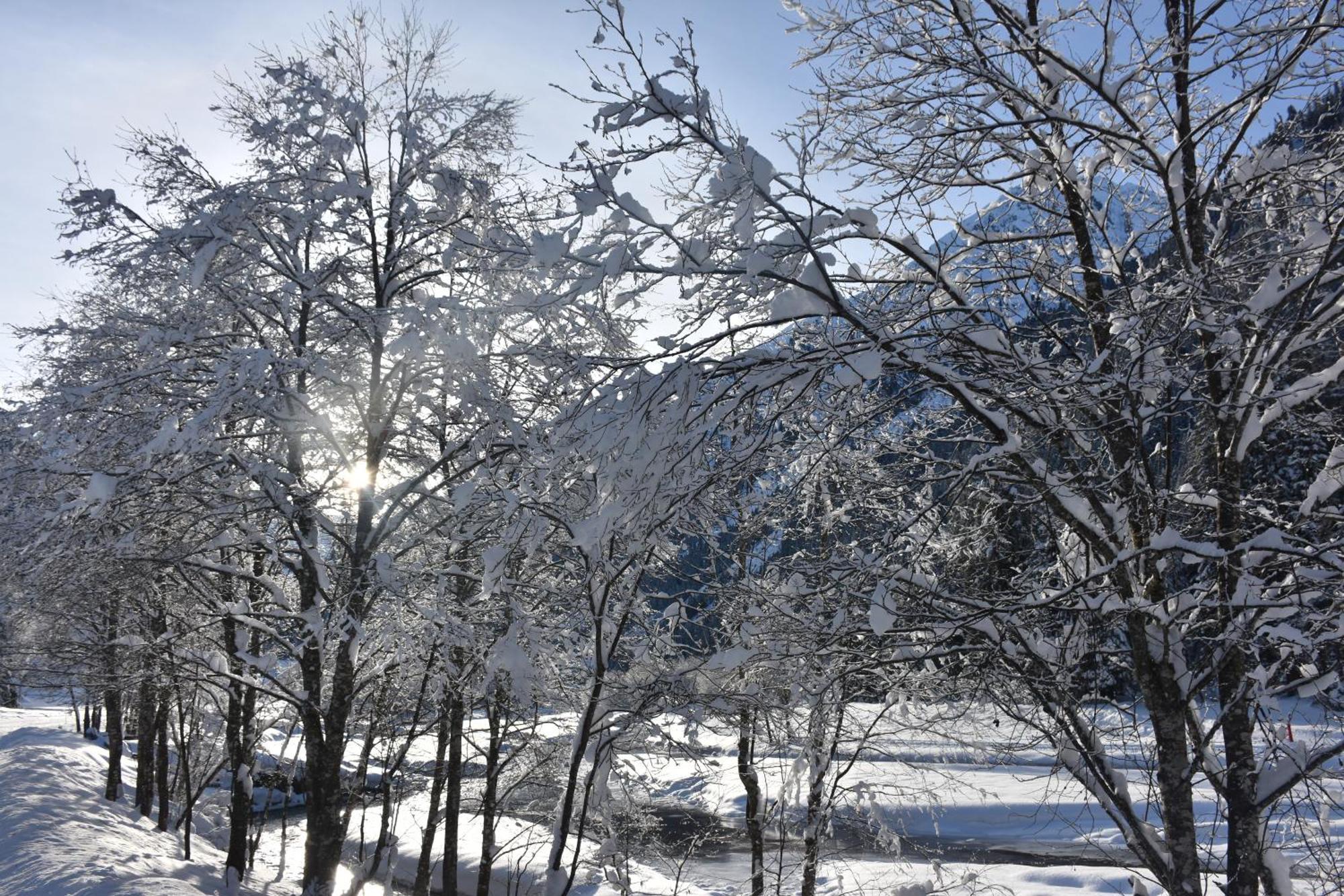 Appartamento Haus Marco Neustift im Stubaital Esterno foto