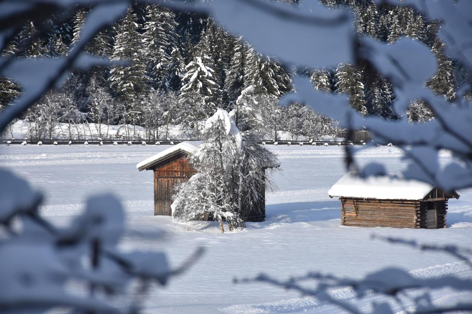 Appartamento Haus Marco Neustift im Stubaital Esterno foto