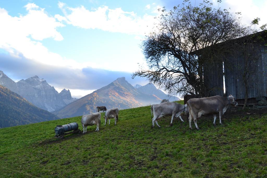 Appartamento Haus Marco Neustift im Stubaital Esterno foto