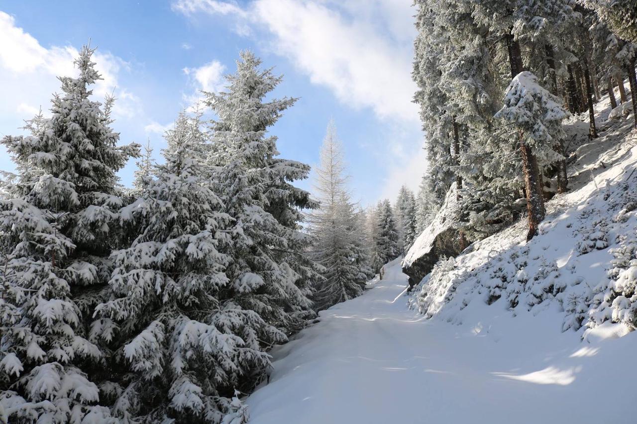 Appartamento Haus Marco Neustift im Stubaital Esterno foto