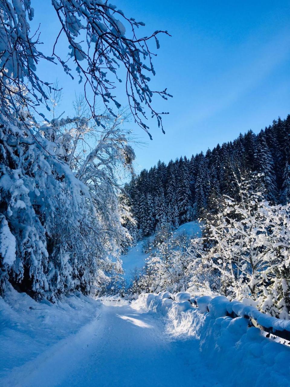 Appartamento Haus Marco Neustift im Stubaital Esterno foto