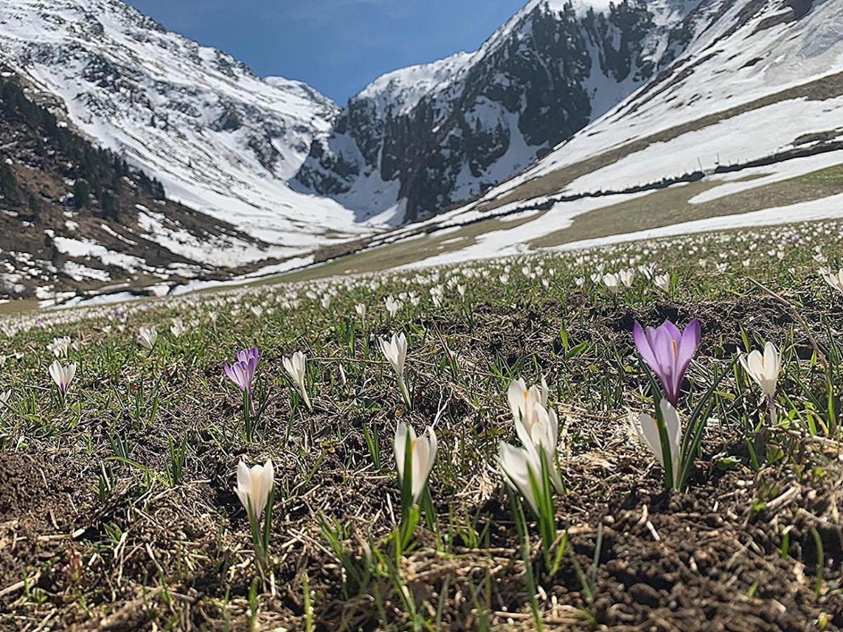 Appartamento Haus Marco Neustift im Stubaital Esterno foto
